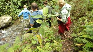 This trail is located within the Volcan Baru National Park and connects Boquete to the east of the volcano,