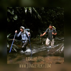 IMG_20150915_210800[1]